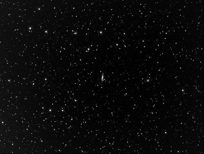 NGC253