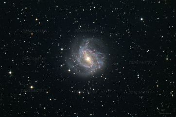 M 83
