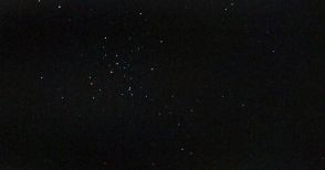 M 41