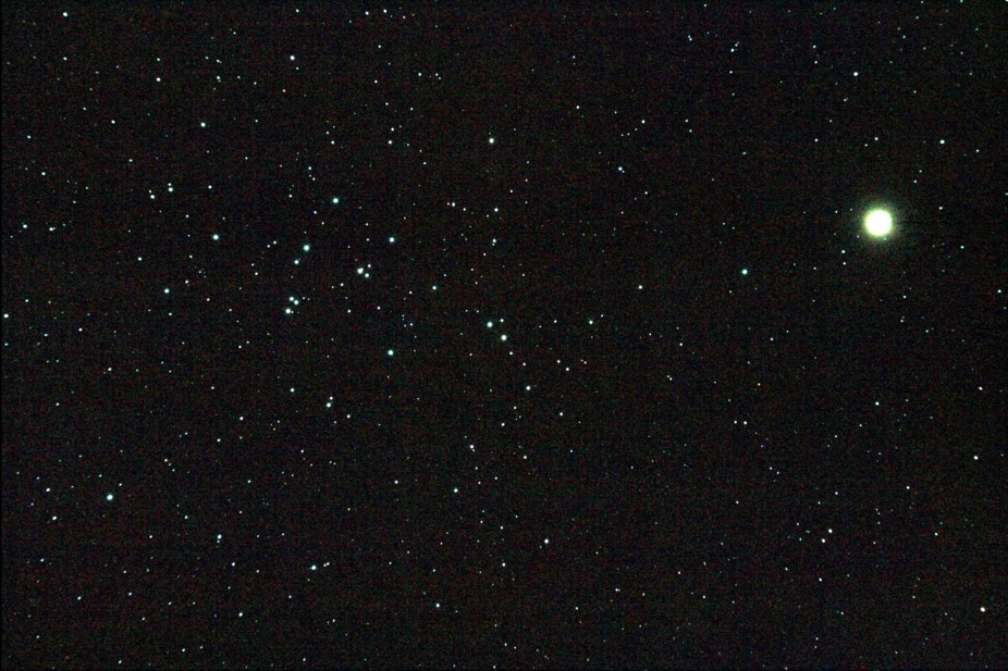 M 44