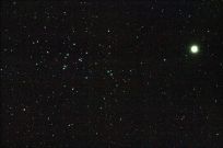 M 44