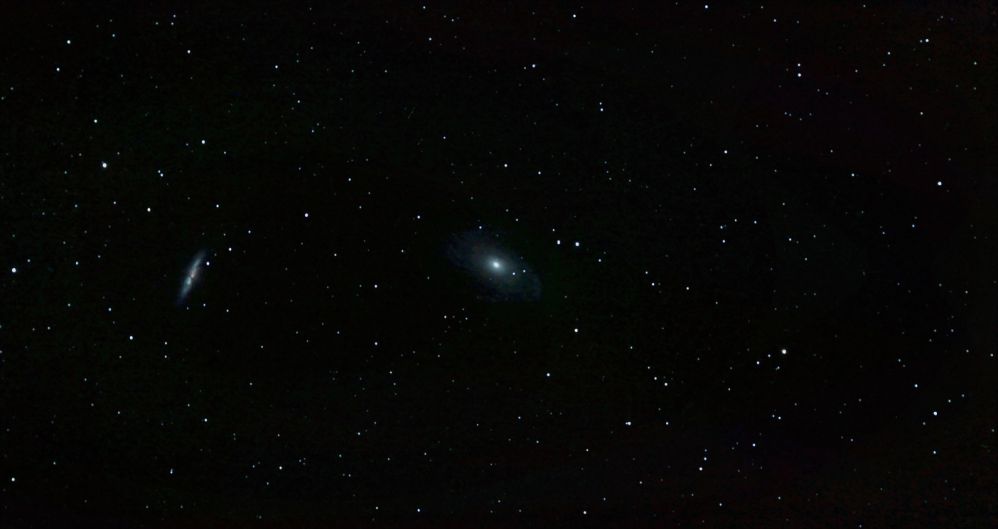 M 81