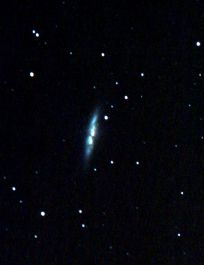 M 82