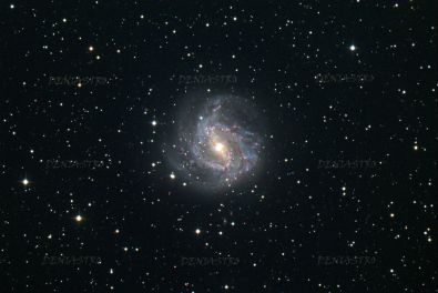 M 83