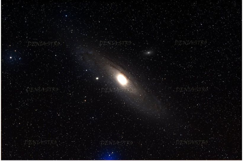M 31