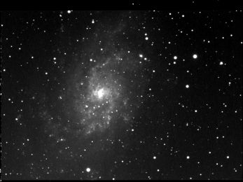 M 33
