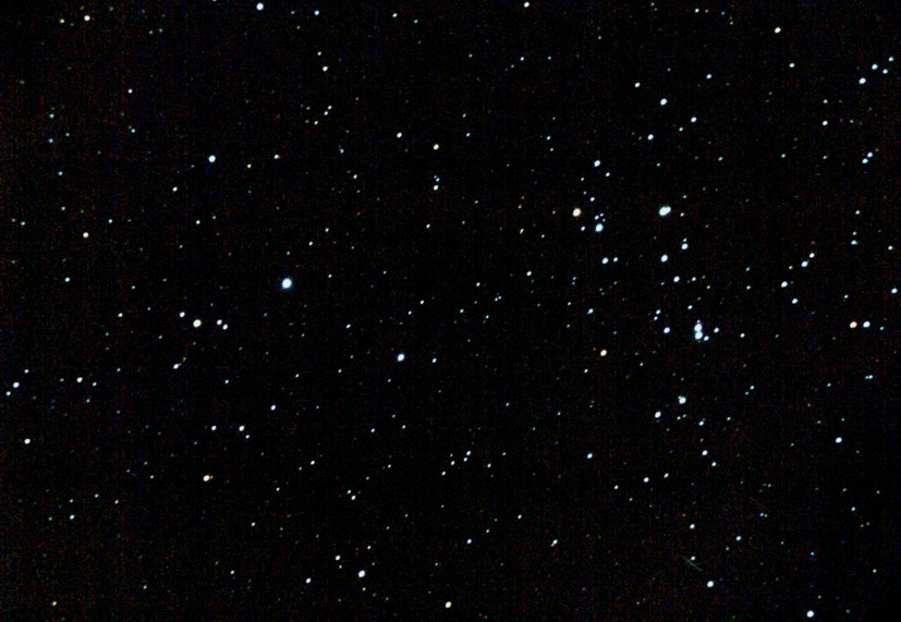 N1778